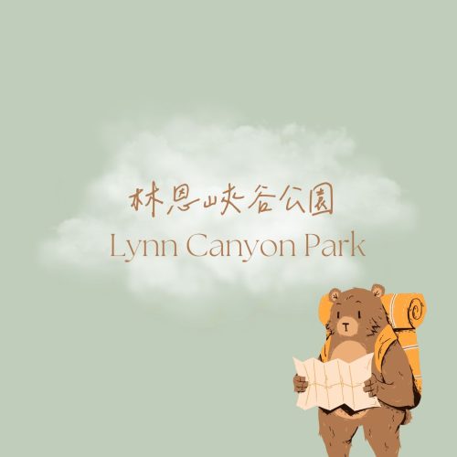 Lynn Canyon Park林恩峽谷公園