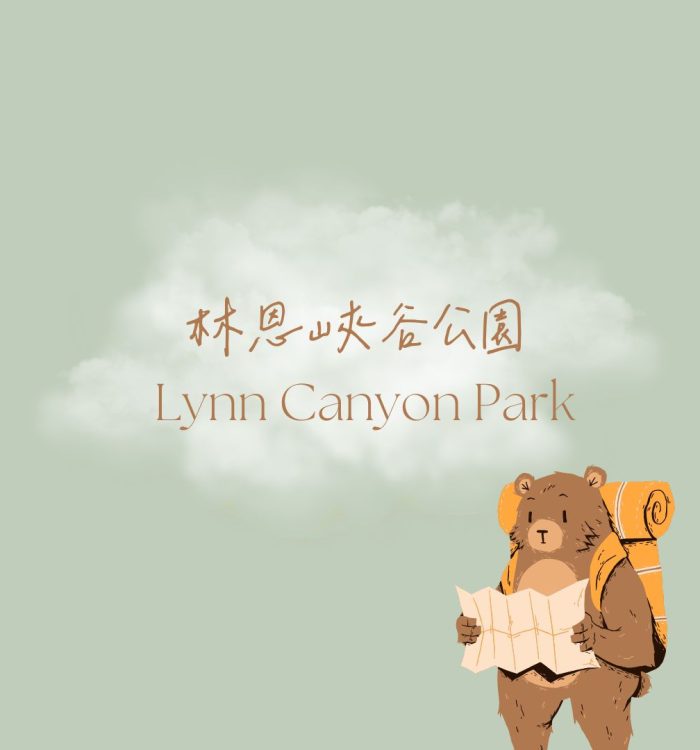 Lynn Canyon Park林恩峽谷公園